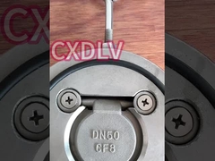 Industrieller Wafer-Rückschlagventil mit Einzel-Scheibe und Schwenkfunktion