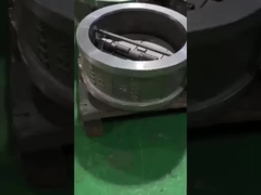 Zwei-Platten-Scheckventil