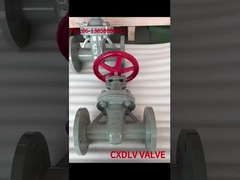 Nicht aufsteigendes Stammgatterventil PN16