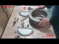 Wafer-Doppelplatten-Rückschlagventil-Montage