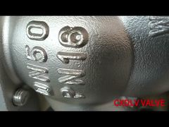DN50 DN80 DN100 Edelstahlglobe Stop Lifting Check Valve Flanschverbindungsstil