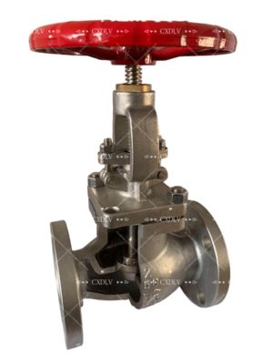 Steigendes Spindel-Handrad-Schieberventil mit 150LB Edelstahl CF8M Flanschanschlüssen für Flüssigkeitskontrolle und einfache Bedienung